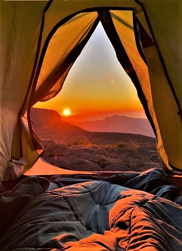 Dinner & a Night Under the Stars 5