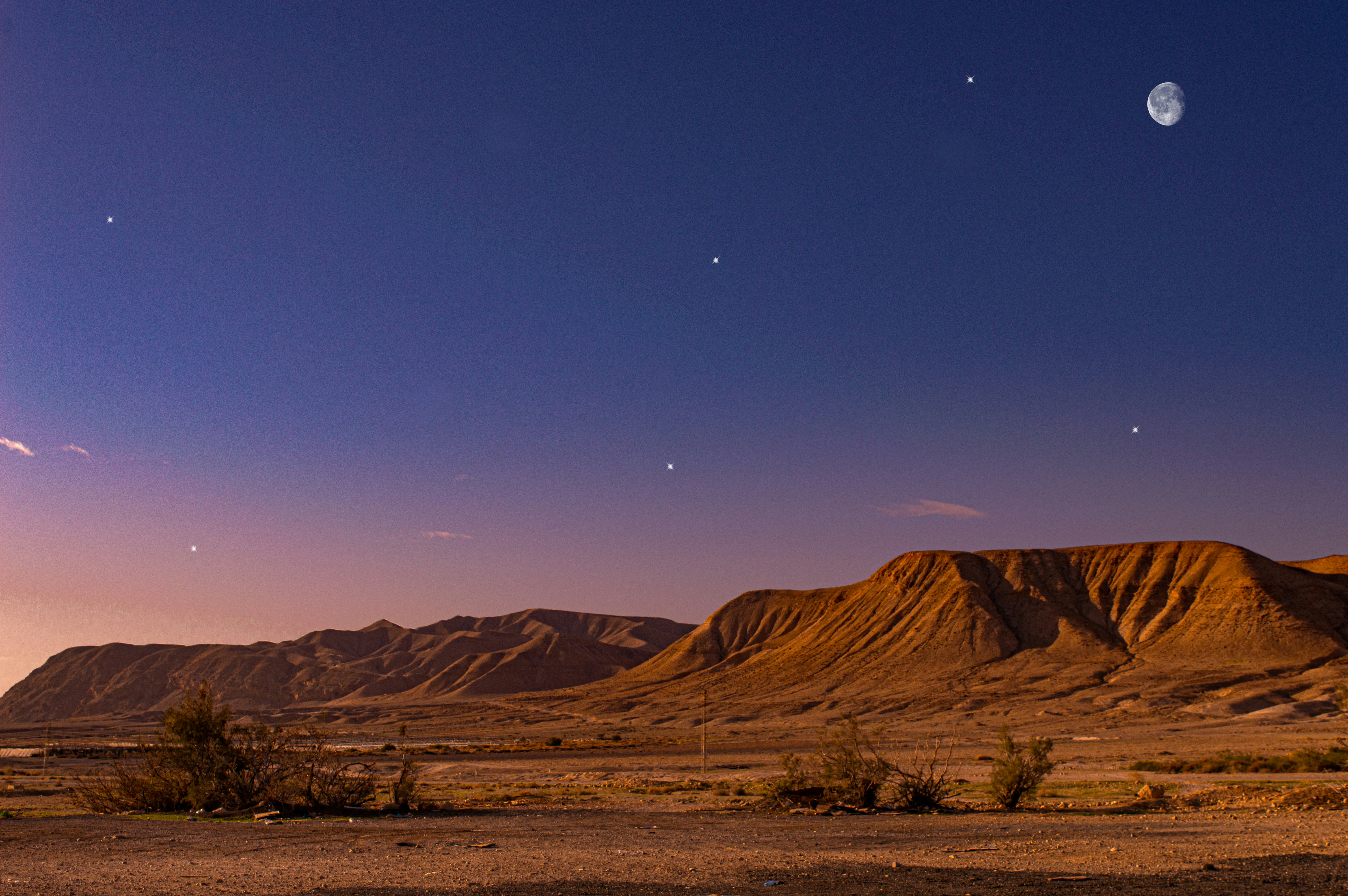 Desert adventure